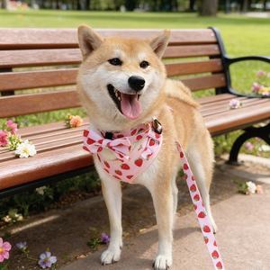 طقم سترة للكلاب قابلة للتخصيص، مصنوعة من شبكة تنفس عالية الجودة، مع طوق وحزام ورباط مخصص للحيوانات الأليفة - Product Image 4