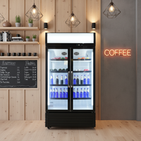 Réfrigérateur commercial à double porte vitrée pour boissons/bière, contrôle numérique de la température, dégivrage automatique, température unique, refroidissement par air