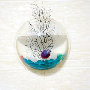 צורה עגולה קיר רכוב דגי קערת אקווריום, קטן מותאם אישית טנקי דגים @ - Product Image 4