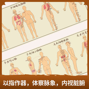 Libro de Diagnóstico de Pulso - Medicina Tradicional China, Introducción Teórica Básica, Guía de Autoaprendizaje, Modelo Ilustrado Cero - Product Image 4
