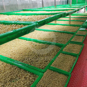 ORME Conteneur Automatisé Hydroponique pour la Germination de l'Orge Verte, la Production de Pousses de Haricot et la Production de Fourrage <span class=keywords><strong>Vert</strong></span>, Chambre d'Élevage d'Orge - Product Image 3
