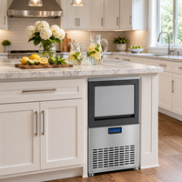 Machine à glaçons commerciale 66lbs/24h sous comptoir, 11lbs de stockage, compresseur, pour maison, bar, café, restaurant, OEM, ODM, CE