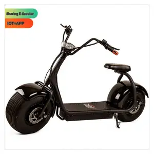 2023 Hot Product 2000W Citycoco Popular 2 Wheel Electric Scooter 60V12AH/20AH Lithium Battery Electric City Bike For Women