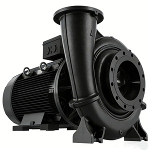 Bomba de Agua de Succión Horizontal Nbg con Cuerpo de Hierro Fundido, Flujo de 5 500 Mh - Product Image 2