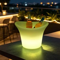 Seau à glace portable en plastique avec éclairage LED, bac à boissons lumineux, style ferme, pour la rentrée scolaire, capacité 2-5L