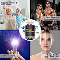 Complément alimentaire en gommes de Shilajit de qualité GMP pour l'énergie et la vitalité, enrichi en Ashwagandha, Ginseng et Maca pour le bien-être quotidien