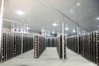 Chambre froide commerciale pour fruits et légumes, chambre froide de plain-pied pour stockage