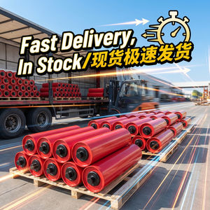 Rodillo de Transportador de Bajo Mantenimiento para Plantas de Cemento y Químicos - Product Image 6