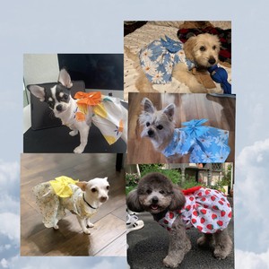 فستان كلب لطيف ملابس جرو لينة ومريحة إكسسوارات حيوانات أليفة صيني فساتين كلب ملابس الحيوانات الأليفة جرو - Product Image 6