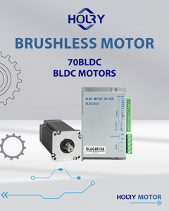 24 فولت 28 فولت 36 فولت <span class=keywords><strong>48</strong></span> فولت 60 فولت ، w ، rpm <span class=keywords><strong>v</strong></span> ، بدون فرش لآلات التعبئة والتغليف - Product Image 3