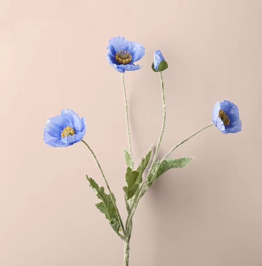 Anima di ghiaccio blu
