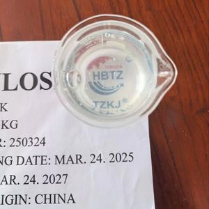 Polvo de HPMC TZKJ, Hidroxipropilmetilcelulosa de Grado Arquitectónico, Alta Pureza 99.9%, Agente Retenedor de Agua, 25 kg/bolsa, Cemento - Product Image 2