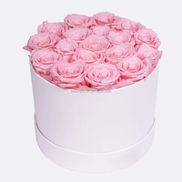 Roses éternelles NINI, fleurs préservées, Rosas Eternas Preservadas, rose décorative naturelle, boîte cadeau, roses préservées