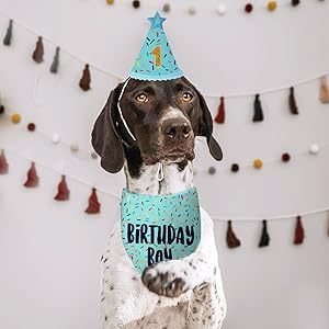Fournitures pour fête d'anniversaire de chien, foulards bleus pour chien pour fille, bandanas pour chiot, bandanas d'anniversaire pour chiens de petite <span class=keywords><strong>et</strong></span> moyenne taille - Product Image 5