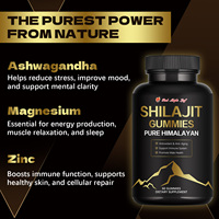 Gummies de Shilajit avec Ashwagandha et Magnésium |   Extrait de Shilajit et Ashwagandha : Soutien Énergétique et de Vitalité |   60 Gummies