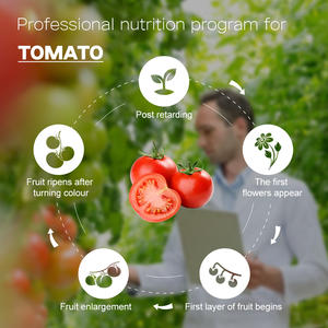 Agricultural <strong>Fertilizer</strong> Npk Water Soluble <strong>Fertilizer</strong> Application Guidance for <strong>Tomato</strong> - Product Image 5