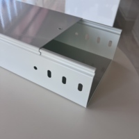 Goulotte de câblage robuste CE anti-corrosion à fond plein, facile à installer, revêtement poudré, 400x100x2mm, 3m, taille personnalisée disponible, RAL