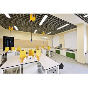 Meuble de laboratoire de biologie chimique personnalisé armoire banc de laboratoire avec évier fournisseurs fabricant pour écoles - Product Image 6