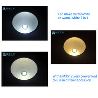 Lampu Par Cob 2in1 200W Hangat dan Putih Led Kualitas Tinggi dengan Pintu Gudang untuk Panggung Pernikahan Hotel