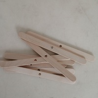 Bâtonnets de crème glacée en bois de bouleau perforés NEWELL, écologiques, assemblés à la main, pour sucettes glacées maison