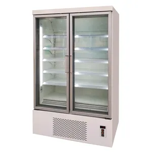 باب زجاجي عمودي التجاري الفريزر الثلاجة معدات واحدة عرض منتجات طعام مجمد الفريزر