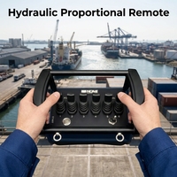 Ensemble de télécommande proportionnelle sans fil hydraulique spécial pour équipement de pont de navire, avec batterie rechargeable en métal fixe et portée de contrôle de 500 m