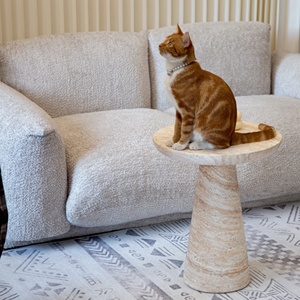 Mesa de Centro Móvil de Estilo Vintage con Aspecto de Travertino para Sala de Estar, Hotel y Casa de Huéspedes - Mesa Esquinera Pequeña de Diseño Ligero y Lujoso - Product Image 3