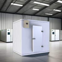 Unité de refroidissement de chambre froide de porte à charnière de stockage de refroidisseur de plain-pied pour la conservation des aliments frais 10x8x8ft chambre froide industrielle