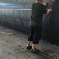Grand airbag de mise à l'eau pour navires, ballon gonflable en caoutchouc pour le transfert de bateaux