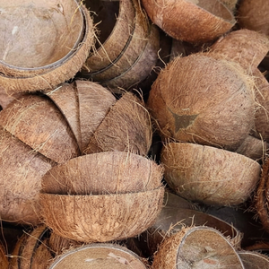 Cáscaras de coco limpias y secas adecuadas para carbón activado y uso artesanal artístico - Product Image 1