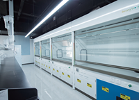Hotte de laboratoire en acier inoxydable résistante aux produits chimiques et aux acides