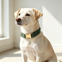 Collier pour chien en velours côtelé doux et réglable, idéal pour les promenades quotidiennes en extérieur, personnalisation du logo et de la couleur
