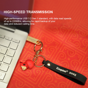   Memoria USB DTSE con Diseño de Anillo Colgante, Aleación de Zinc, USB 3.2, 220MB/s - Product Image 3