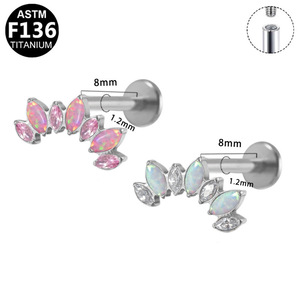 Clous d'oreilles en titane plaqué F136 pour piercing d'oreille, bijoux unisexes - Product Image 5