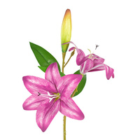 Großhandel dekorative 3 Köpfe gefälschte Tiger Lilien Blume 3D Real Touch künstliche rosa Lilie für Ostern