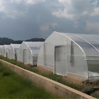 Kit de serre en acier galvanisé à simple travée avec film PE, 8x30m, structure de culture commerciale pour légumes, montage facile