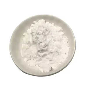 Nano Zirconium Oxide Powder Price 50-80nm Zro2 Nanopowder For Ceramics