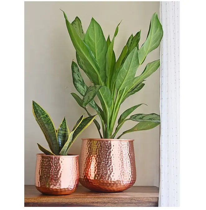 Vaso plantador de ferro pequeno, de alta qualidade, com conjunto de cores de cobre de 2 peças