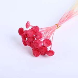 Offre Spéciale séché fleur Billy boules pissenlit petite boule préservée Mini bouton chrysanthème pour la décoration <span class=keywords><strong>de</strong></span> mariage - Product Image 4