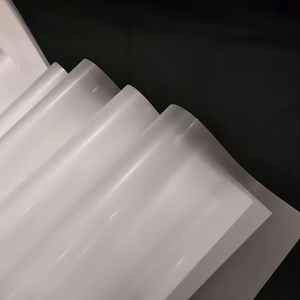 DTF <b>Printer</b> Heat Transfer Film Roll 30cm PET Material for <b>Clothing</b> A4/A3 Sizes Available - Product Image 5