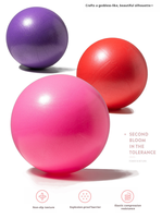 Ballon de Pilates en PVC en gros, mini-ballon d'exercice de 25 cm pour le renforcement du tronc, le tonification des fessiers, la barre et le yoga à domicile