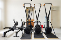 Máquina de Esquí Ergométrica Resistente al Viento para Uso Doméstico, Simulador de Esquí para Entrenamiento de Cuerpo Completo en Interiores, Equipo de Fitness Portátil