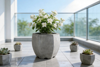 Pot de fleurs hexagonal moderne en ciment, résistant aux intempéries, pour jasmin