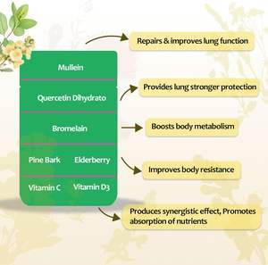 Gummies à l'extrait <span class=keywords><strong>de</strong></span> feuille <span class=keywords><strong>de</strong></span> molène 3000 mg tout-en-un, formule OEM ODM, détoxification pulmonaire, santé pulmonaire, pour fumeurs - Product Image 6