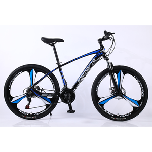 エアロイック29プロ大型カップル向け、ピンクのファットバイクリム（グリーン）を購入したい、自転車部品リム、大人用フィッシュボーンブレーキファットバイク - Product Image 4