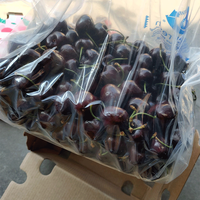 Nouvelle technologie sac de conservation des aliments frais sac de conservation des fruits et légumes Nano