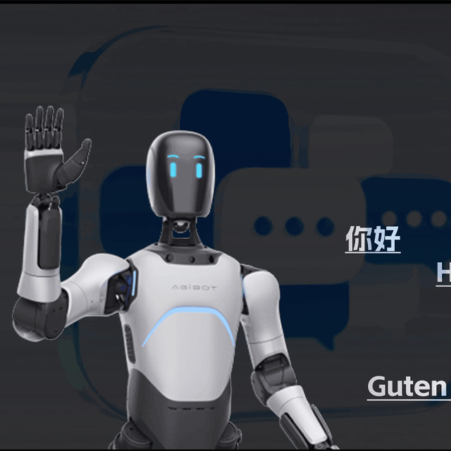 Humanoid robot with array microphone and facial expression screen for lifelike human robot interaction and hosting