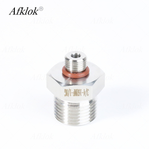 Phong cách mới đôi nam giảm CO2 3/4in đến 1/8in SS316L ống nối/Bộ chuyển đổi tùy chỉnh phụ kiện đường ống - Product Image 1