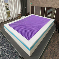 Matelas en mousse TPE moderne OEM/ODM, rafraîchissant, hypoallergénique, avec housse amovible, pour usage scolaire et hospitalier, confort amélioré