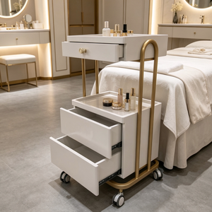 Carrito Móvil Metálico Moderno para Salones de Belleza y Clínicas Estéticas, Carrito de Almacenamiento de 4 Ruedas para Procedimientos Cosméticos y Cuidado de la Piel - Product Image 5